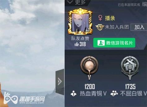 和平精英辅助【兵王】