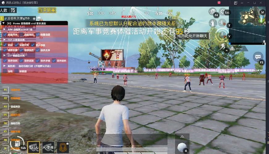 和平精英辅助【兵王】